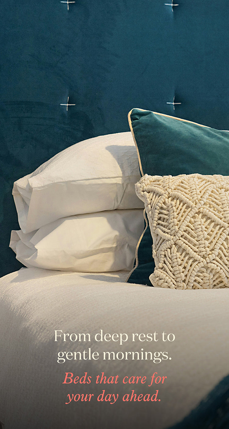 Bonito_banner-09_3271a5e5-f661-47e6-81b2-953a456dca87