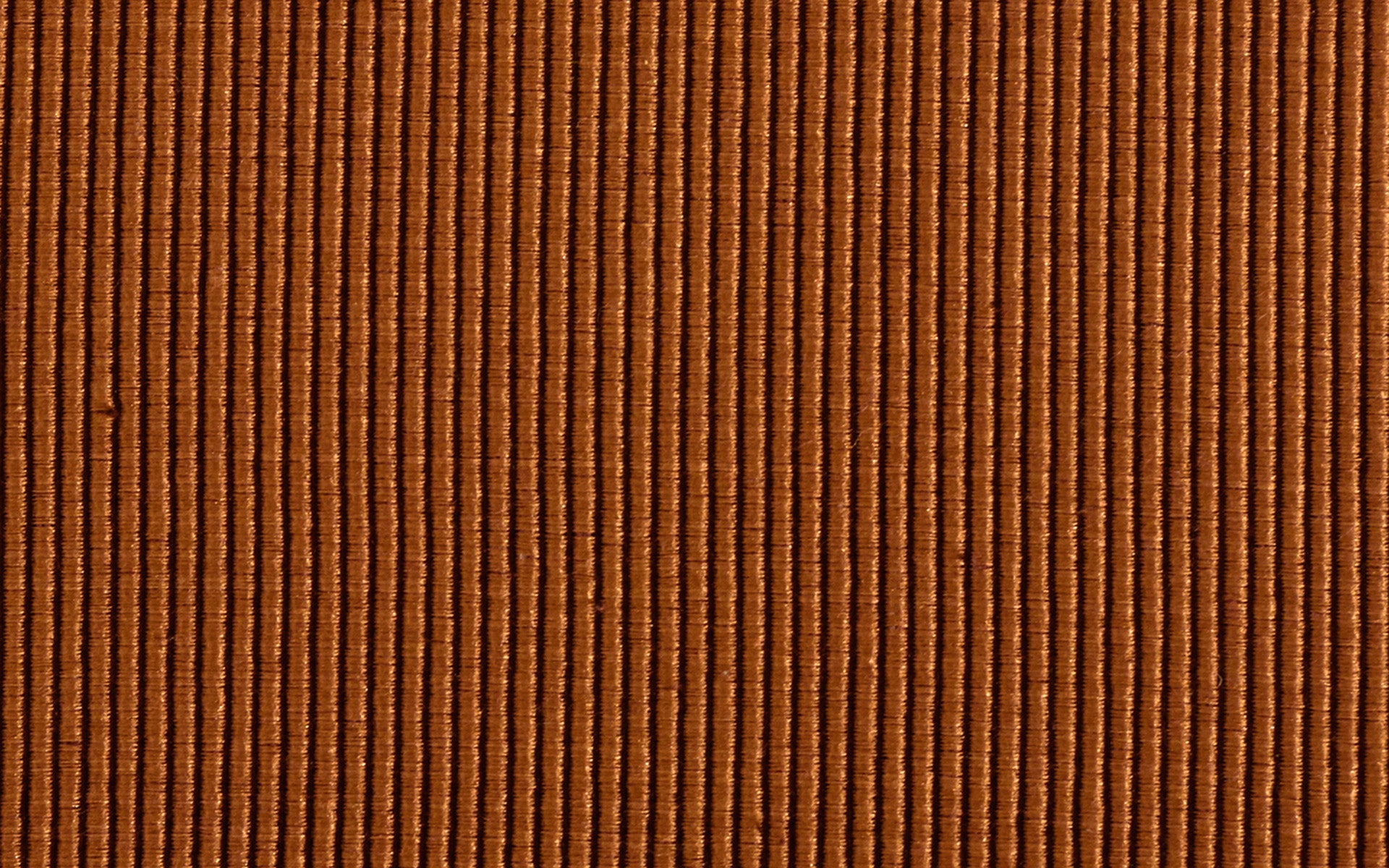 BD-VRM-2024-3319_5.jpg