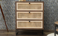 Irish Modern Mango Wood Chest Of Drawer With Cane Work